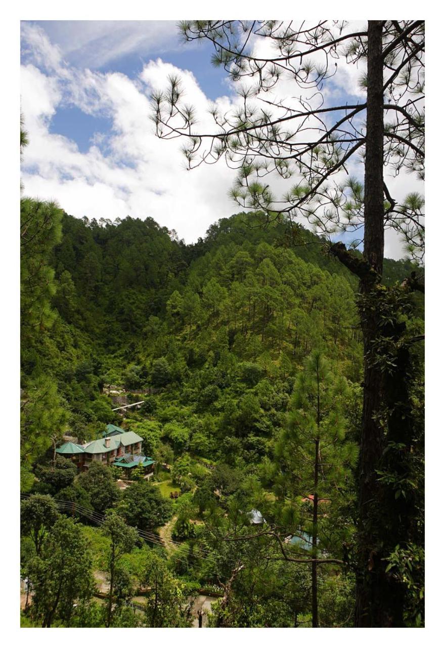 Saffronstays Himalaica, Nainital Bhowali Eksteriør bilde